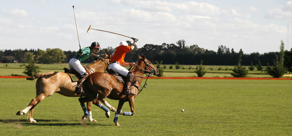 071026poloclub08.jpg - taille 38,46ko